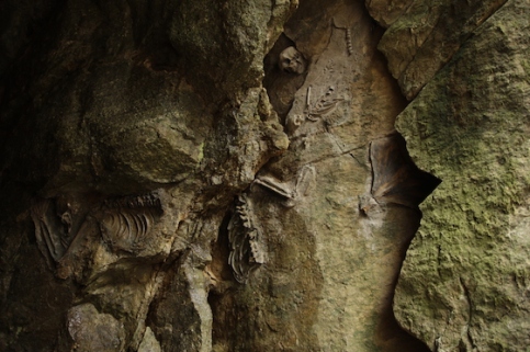 Hydropithèques de la grotte du Pas de Lintron (Vallée du Bès et de la Léone), 2012. Tirage à développement chromogène. Photo : Joan Fonctuberta